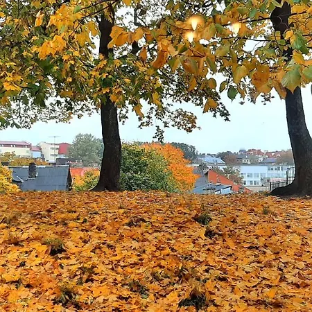 Daire Lovely In The Heart Of